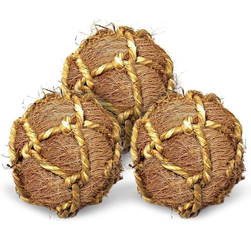SunGrow Guinea Pig Coconut Fiber Balls, Improves Oral Wellness, Environment Friendly, Stress Reliever, Ideal for Chew Item for Rabbits, Chinchilla & Kitten (3 Pieces) - Image 2